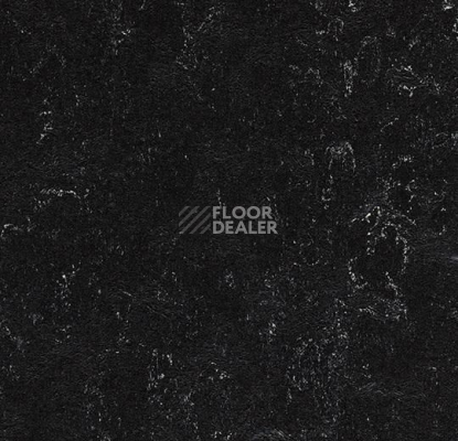 Линолеум Forbo Marmoleum Marbled Fresco 2939-72939-293935 black фото 1 | FLOORDEALER